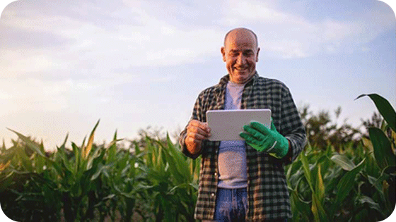 Disk Sistema te fazendo decolar